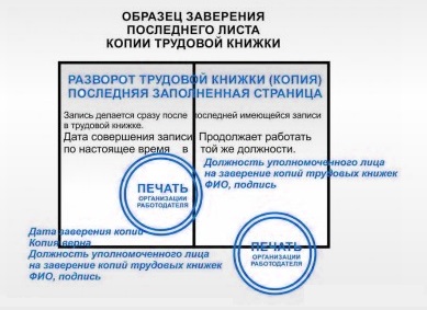 Последняя страница трудовой книжки заверенная работодателем образец